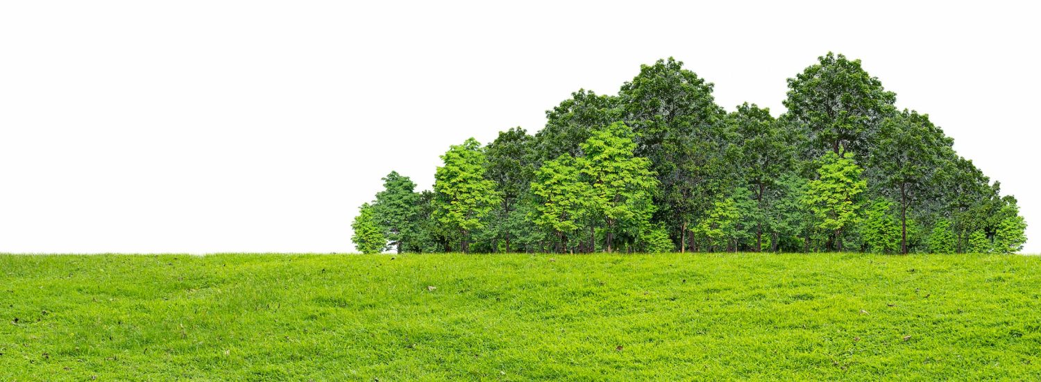 Rituals That Turn Negative Feelings Into Learning Moments